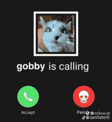 a picture of a cat with the text gobby is calling