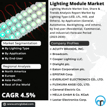 an advertisement for the lighting module market shows various companies profiles