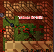 a screenshot of a game that says tahero for gm on top