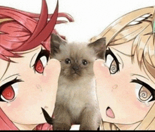 two anime girls are standing next to each other holding a kitten .