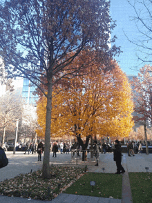 a tree with yellow leaves is surrounded by people