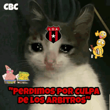 a picture of a cat with the words " perdimos por culpa de los arbitros " above it