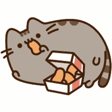 a cat is eating chicken nuggets from a box