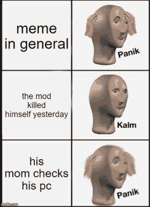 meme in general the mod killed himself yesterday his mom checks his pc panik imgflip.com