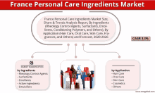 france personal care ingredients market share & trends analysis report by ingredients