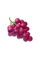 a bunch of grapes with a green stem on a white background