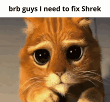 a cat with a sad look on its face and the words brb guys i need to fix shrek