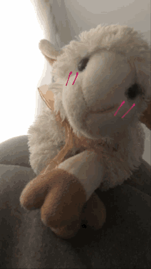 a stuffed sheep with pink arrows pointing to the eyes