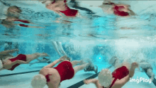 a group of women in red bathing suits are swimming underwater in a pool .