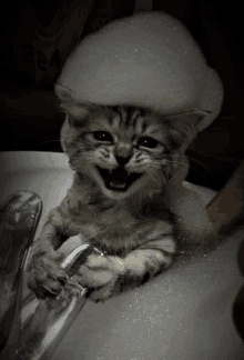 a kitten is taking a bath with foam on its head ..