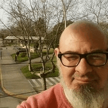 a bald man with a beard and glasses is taking a selfie in front of a park .