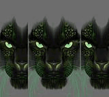 three black cats with green eyes are standing next to each other .