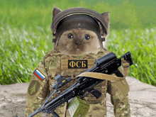 a cat in a military uniform has a patch that says fcb