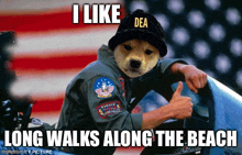 a dog is wearing a hat that says dea and giving a thumbs up