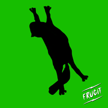 a green background with a silhouette of a person on a skateboard and the word frucit
