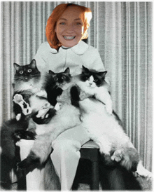 a woman with braces on her teeth sits with a bunch of cats