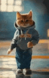 a cat wearing a hoodie that says against is walking