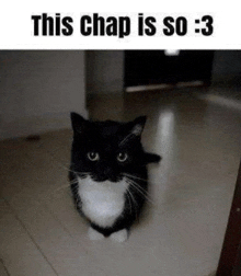 a black and white cat is standing on a tiled floor in a dark room .