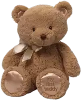 a brown teddy bear with the words " my first teddy " on its paw