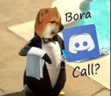 a dog dressed as a waiter is holding a towel and a discord logo .