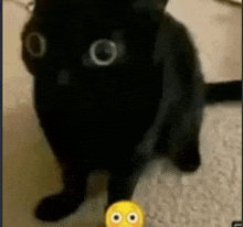 a black cat is standing next to a yellow smiley face on the floor .