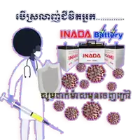 a cartoon of a doctor holding a syringe and a shield with inada batteries in the background