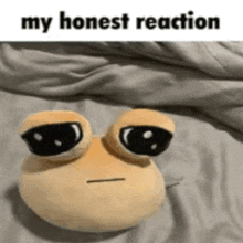 a stuffed frog is sitting on a bed with a caption that says `` my honest reaction '' .