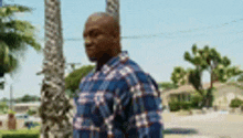 a man in a plaid shirt is standing in front of a palm tree in a park .