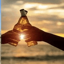 a couple of people toasting with beer bottles at sunset .