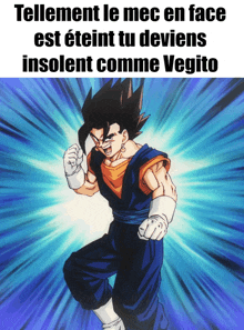 a picture of a cartoon character with the words tellement le mec en face est eteint tu deviens insolent comme vegito