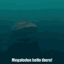 a picture of a megalodon in the ocean with the caption megalodon hello there