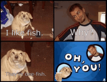 a collage of pictures of a dog and a man asking why they are dee-fish