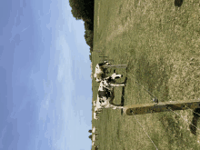 a black and white cow standing in a grassy field behind a fence