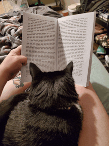 a cat laying on a person 's lap while reading a book