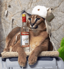 a cat wearing a white hat and a bottle of stolichnaya vodka