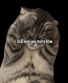 a cat covering its face with its paw and the words " i still love you more btw " below it