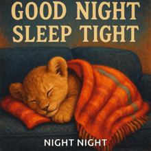 a picture of a lion cub sleeping on a couch with the words good night sleep tight below it