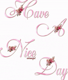 the words have a nice day are written in pink letters