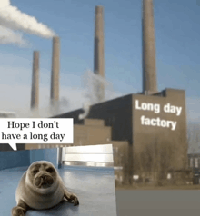 a seal is laying in front of a long day factory