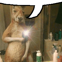 a kangaroo is standing in front of a bathroom mirror