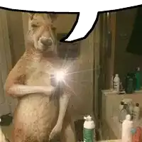 a kangaroo is standing in front of a bathroom mirror