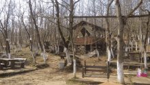 a wooden swing in the middle of a forest