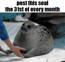 a person is petting a seal with the caption post this seal the 31st of every month .