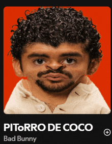 a picture of a man with curly hair and a beard called pitorro de coco