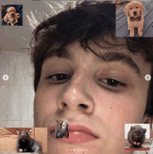 a man 's face is surrounded by pictures of animals including a rat and a dog