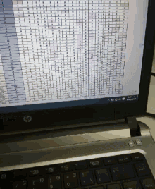 a hp laptop is open to a spreadsheet on the screen