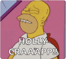 a cartoon of homer simpson says holly craaapp !!