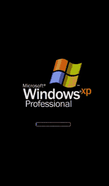 a loading screen for microsoft windows xp professional on a black background