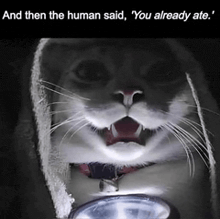 a cat is holding a flashlight in its mouth and says " and then the human said " you already ate "