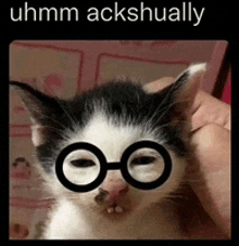 a black and white kitten wearing glasses is being held by a person .